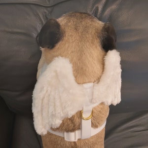 LARGE Valentines Angel white angel wings pet dog harness