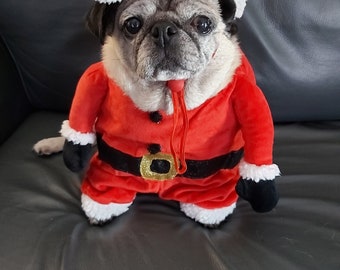 big dog santa costume