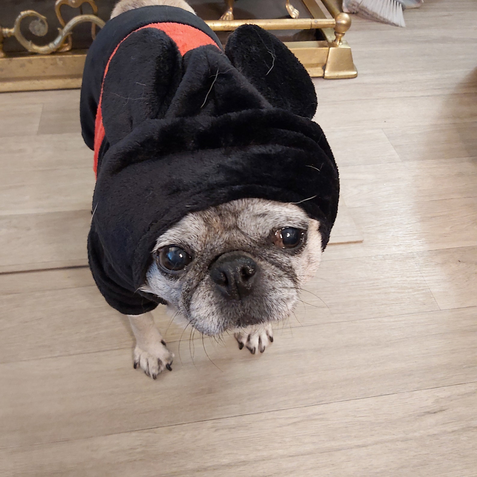 SMALL Mickey Mouse Disney Dog Pet Costume Halloween Christmas Etsy