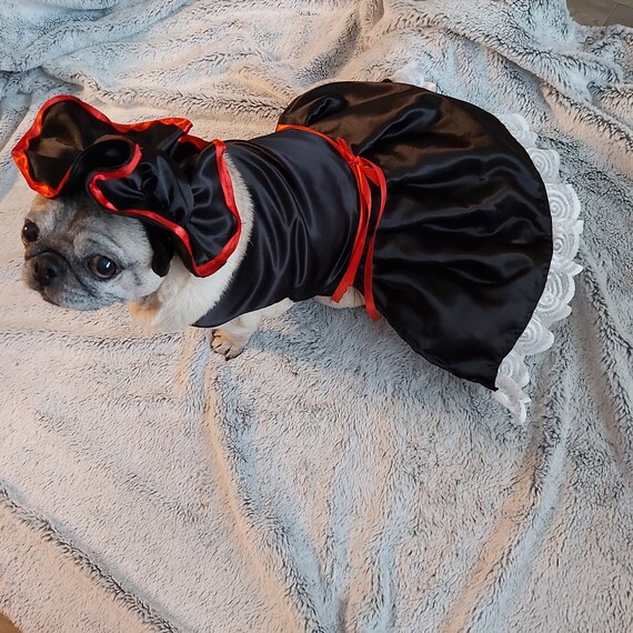 dog french maid costume