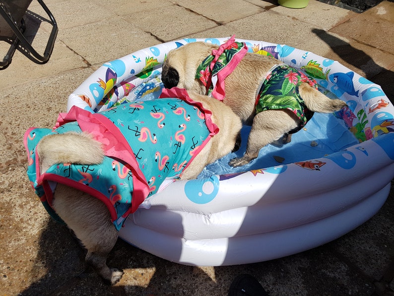 MED/LARGE Dog cane bikini tropicale costume da bagno Etsy