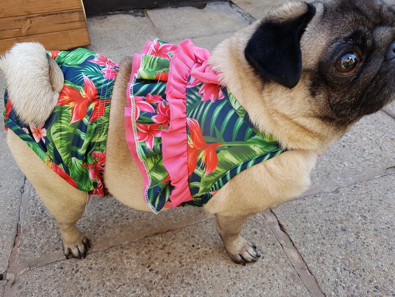 MED/LARGE Dog cane bikini tropicale costume da bagno Etsy