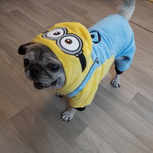 dog from despicable me costume