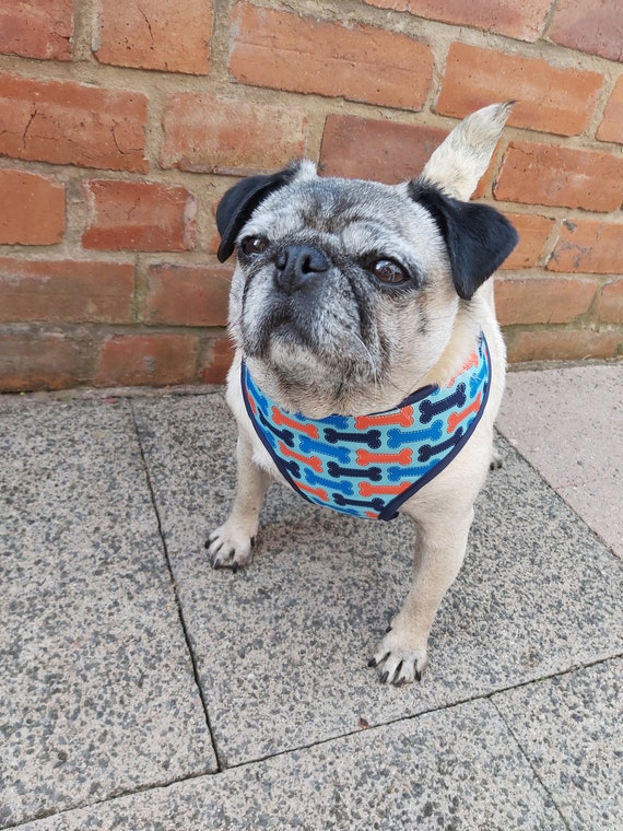 LARGE Adjustable Soft Wipe Clean Animal Doggy Bone Print Dog Harness Etsy Canada