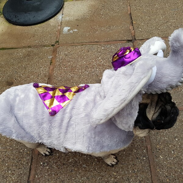 Elephant Dog Costume Etsy