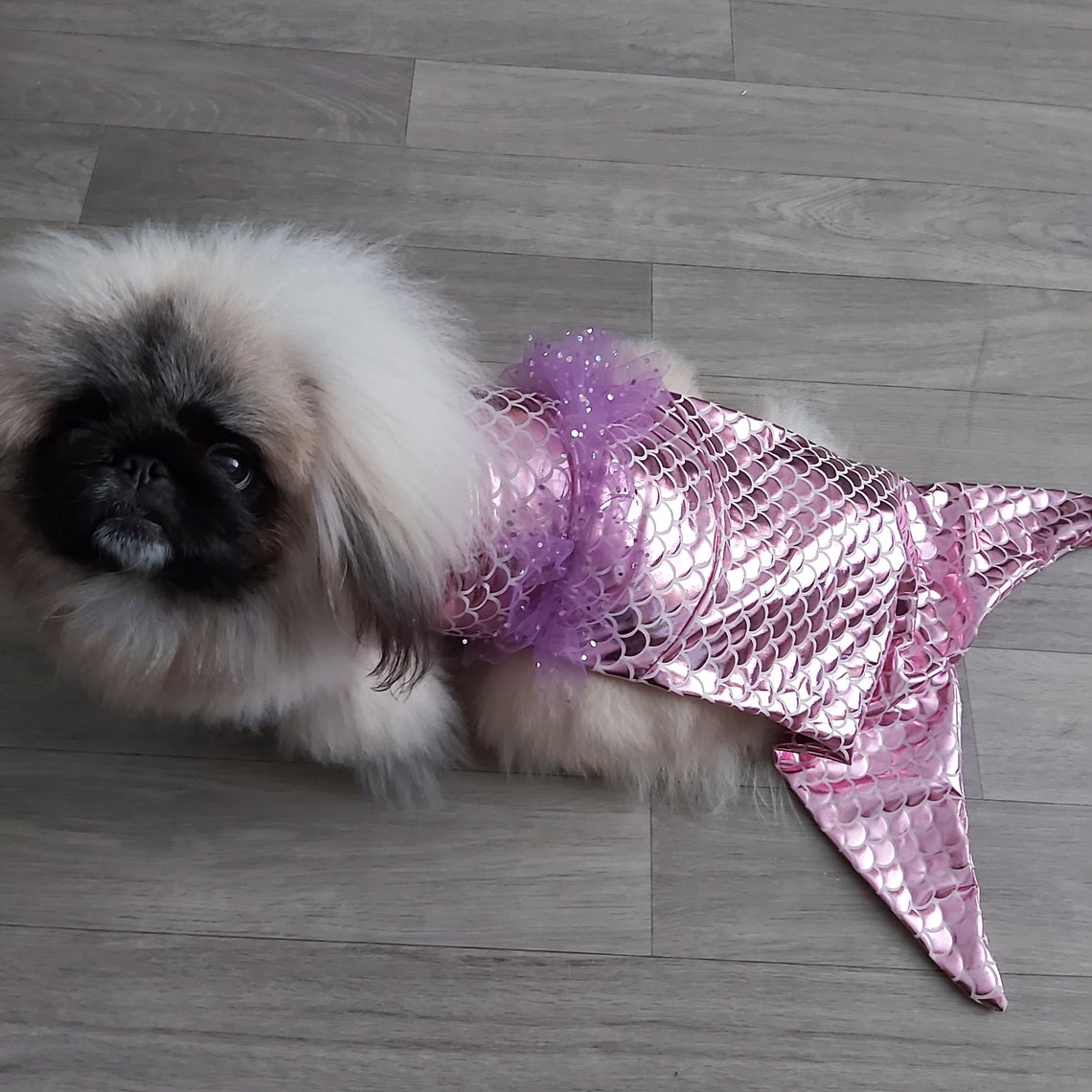 SMALL dog pet mermaid costume stretch swimsuit fabric sparkle Etsy