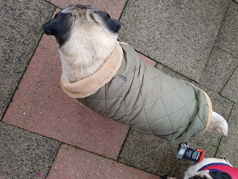 barkhaus dog jacket