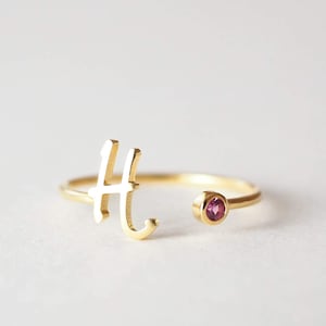 Personalisierter Geburtssteinring • Personalisierter Goldring • Initialring • Personalisierter Namensring • Neue Mutterring • WEIHNACHTSGESCHENKE RM06F58