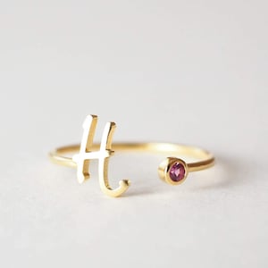 Personalized Initial Birthstone Ring • Custom Gold Initial Ring • Custom Name Ring • New Mom Ring • CHRISTMAS GIFTS RM06F58