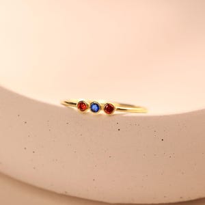Fijne ring met meerdere geboortestenen in sterling zilver en goud • Kleine stapelring • Gepersonaliseerd cadeau voor mama • RM07a