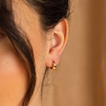 Cartier Hoop Earrings