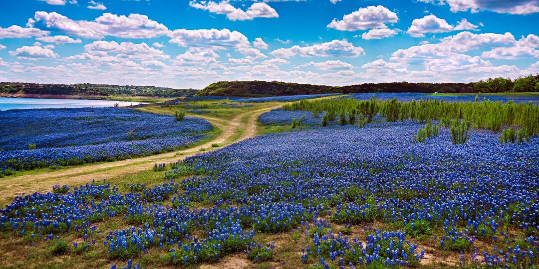 at Muleshoe Bend Museum Grade Fuji Pearl Fine Art Etsy