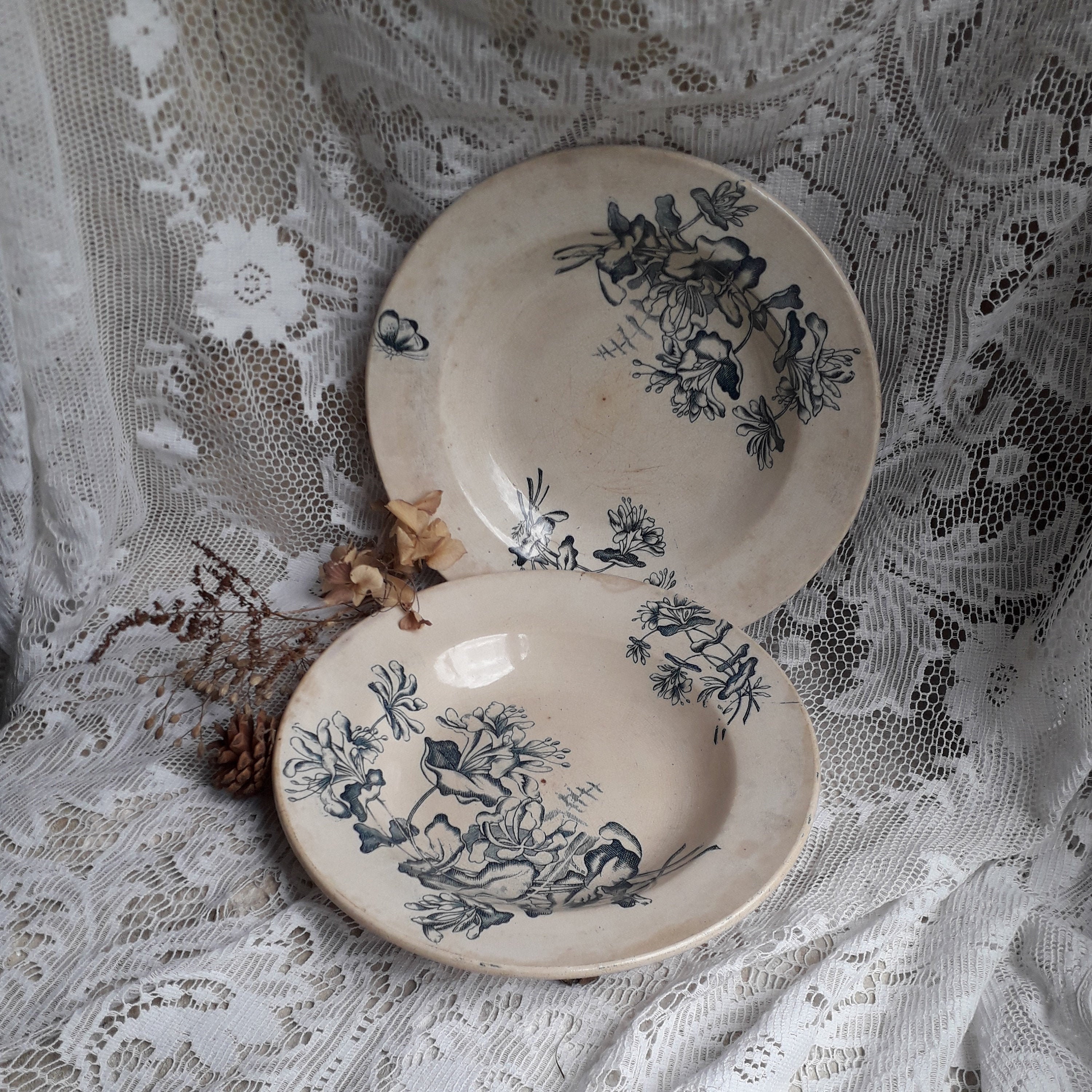 Associez Des Plats en Pierre de Fer Bleu et Blanc avec Un Motif Transferware Floral Butteryfly, Shab