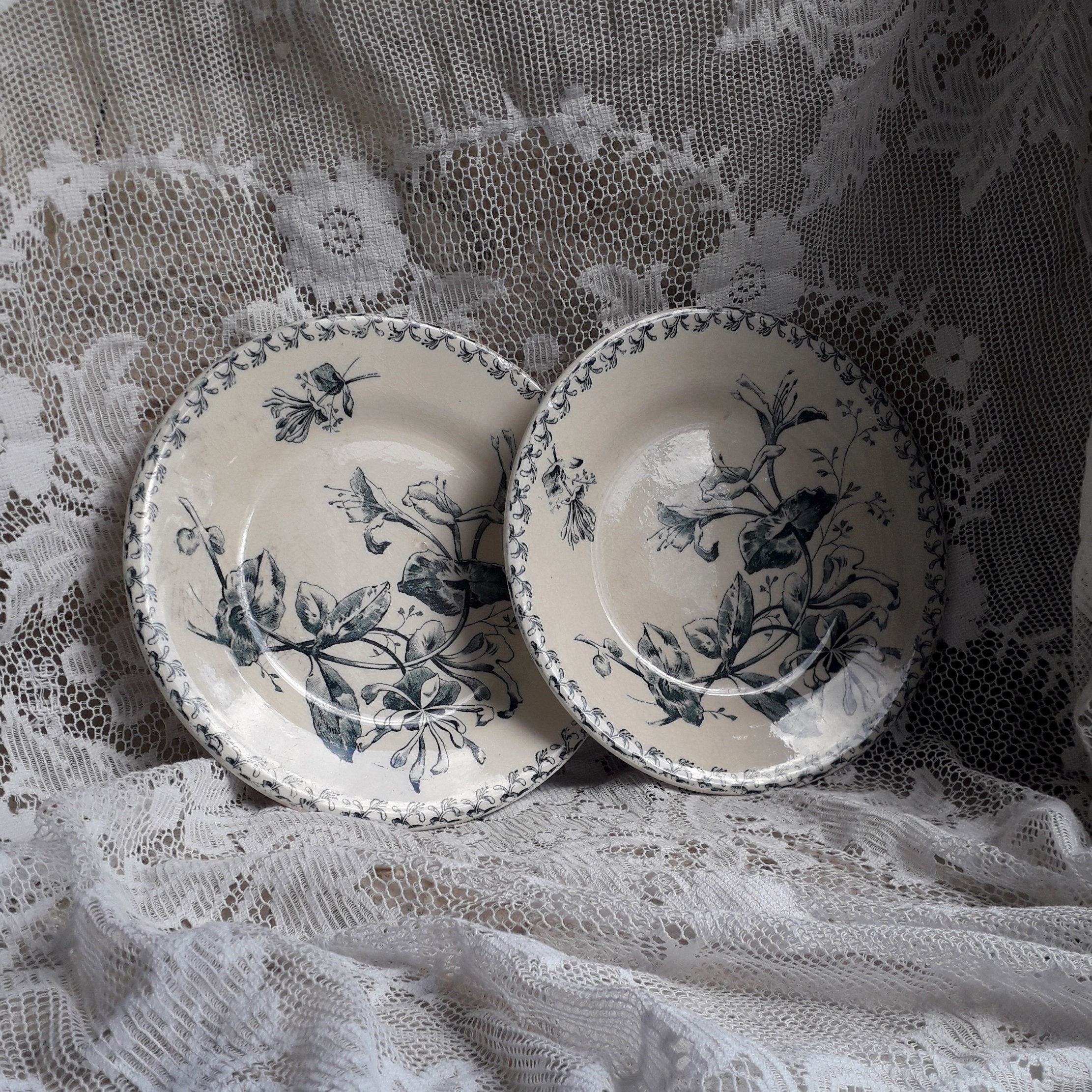 Paire de Petites Assiettes en Pierre Fer avec Motif Transférage Floral Bleu, Shabby Français Chic