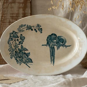 Antique French Ironstone Serving Plate: Blue Bird Floral Transferware, Longwy