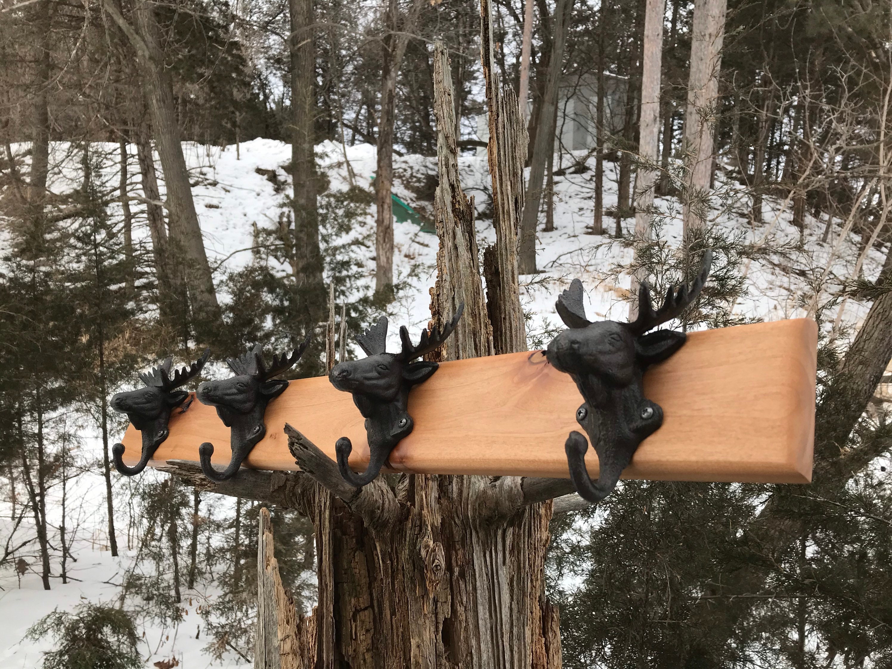 Rustic Coat Rack / Moosehead / Cabin Coat Hook / Antler Coat Etsy