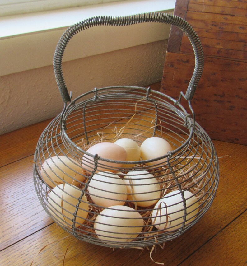Wire Egg Gathering Basket With 9 Faux Eggs 30s/40s Farmhouse Etsy