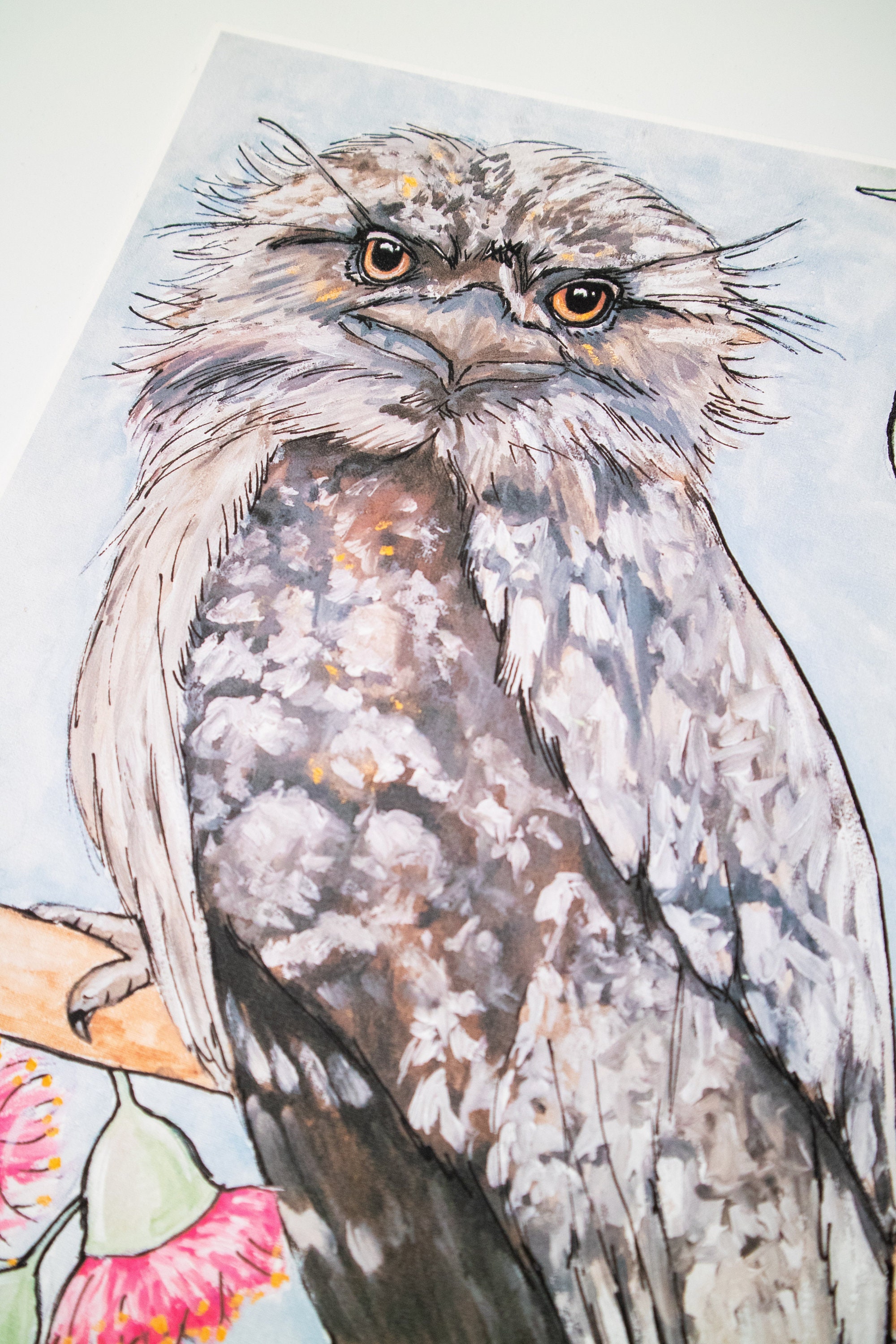 Tawny owl print wall art Tawny frogmouth colourful print bird Etsy