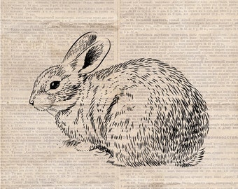 Easter Rabbit Bunny Illustration PNG - Vintage Clipart Digital Download