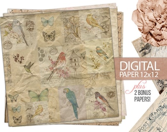 Digital Paper - 12x12 Scrapbook Antique Background Bird Butterfly Botanical - Digital Paper PLUS 2 Bonus Papers - Print - INSTANT DOWNLOAD