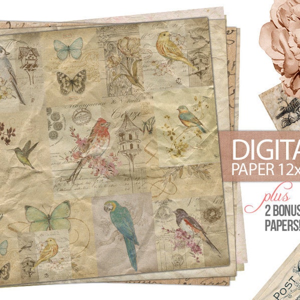 Digital Paper - 12x12 Scrapbook Antique Background Bird Butterfly Botanical - Digital Paper PLUS 2 Bonus Papers - Print - INSTANT DOWNLOAD
