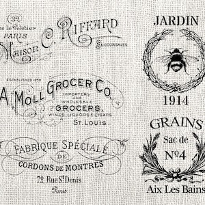 Hoja de collage digital 5 etiquetas de palabras con tipografía antigua vintage, transferencia de arte de palabras, ilustración, clipart, PNG y JPG individuales, descarga INSTANTÁNEA
