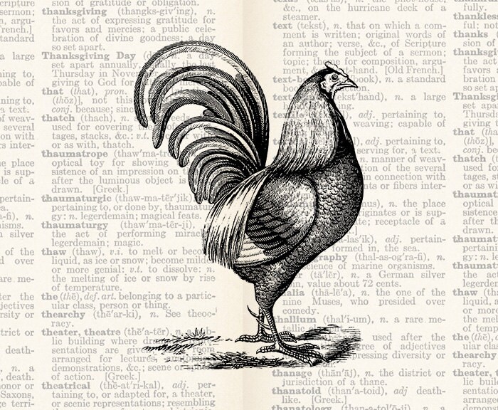 Rooster Vintage Illustration Rooster Download Digital Art Vintage ...