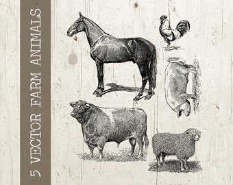 Vintage Vector Farm Animals - Antique Digital Animal Illustration Graphic  - png and eps INSTANT Download