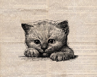 Digital Vintage Kitten- Old Kitten Illustration Graphic - Antique Cat Digital Printable Transfer - Download Old Key - INSTANT DOWNLOAD