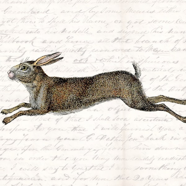Easter Rabbit Hare Die Cut Digital Graphic - Easter Bunny Illustration Clipart - Printable Download -  Illustration INSTANT DOWNLOAD