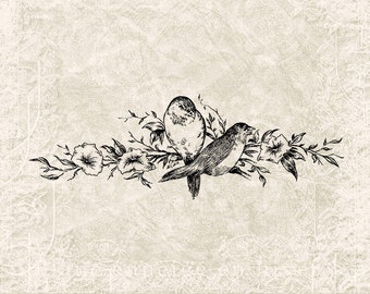 Ilustración PNG de pájaro vintage - Arte digital - Imágenes prediseñadas antiguas, gráficos imprimibles, transferencias para manualidades, DESCARGA INSTANTÁNEA