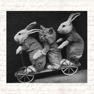 Foto antica di Pasqua - Digital Vintage Bunny Teen - Victorian Easter Card Printable Download - Illustrazione INSTANT DOWNLOAD