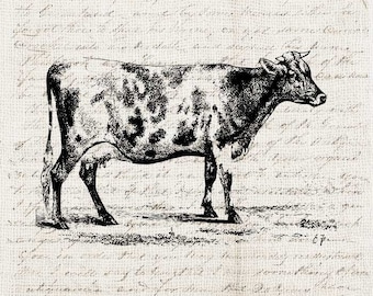 Antique Cow PNG – Vintage Farm Kitchen Art Printable Clipart Illustration (Digital Download)
