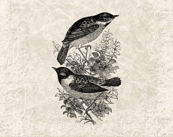 日本の鳥のイラスト アート作品 日本の鳥イラスト｜無料イラスト・フリー素材なら「イラストAC」