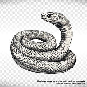 Clipart digital de cobra vintage PNG ilustração de cobra antiga para impressão diário scrapbook transferência gráfica DOWNLOAD INSTANTÂNEO