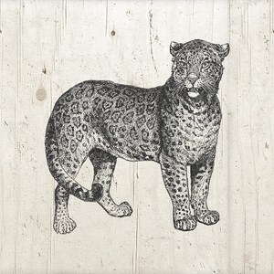 Pode incluir: Ilustração a preto e branco de um leopardo em pé sobre uma superfície clara e texturizada. O leopardo tem um pelo manchado e está virado para a frente. A imagem tem um estilo artístico vintage.