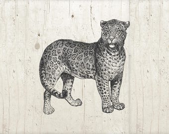 Leopard Clipart, Leopard Antique Illustration Transfer Graphic Leopard PNG Commercial Use - INSTANT DOWNLOAD