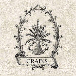 Digitale download antieke graan jute advertentie - Vintage graan typografie overdracht afbeelding - overdracht afbeelding - Vintage Label INSTANT DOWNLOAD