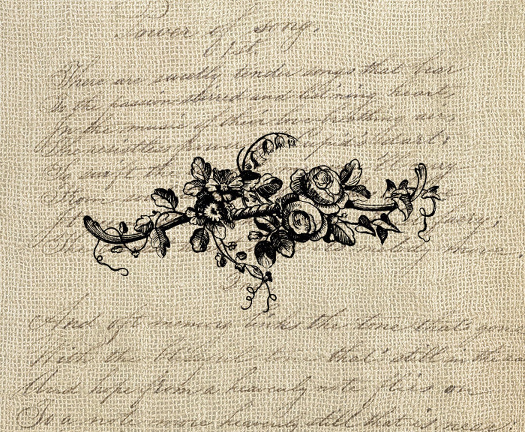 Vintage Botanical Flowers Plant - Digital Download Clipart - Botanical ...