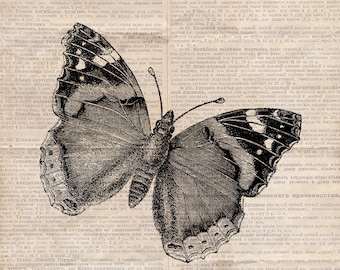 Pode incluir: Uma ilustração em preto e branco de uma borboleta com as asas abertas. A borboleta está impressa numa página de jornal vintage com texto em russo.