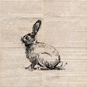 May include: A black and white line drawing of a rabbit sitting on a page of text. The rabbit is looking to the left. The text is in Russian.