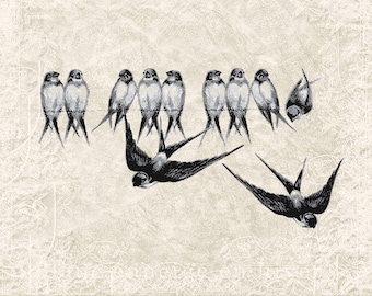 Birds Vintage Illustration Birds in a Line Download Digital Art - Vintage Birds Clipart Graphic Printable Transfer Craft INSTANT DOWNLOAD