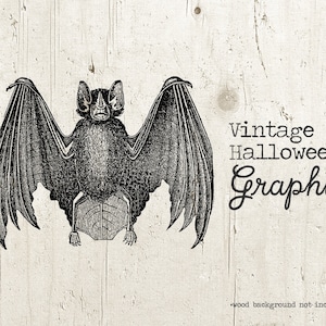 Vintage Halloween, Vintage Nietoperz, Nietoperz Ilustracja Clipart Scrapbook - Wydrukowany Obraz Graficzny Halloween - Halloween Clipart Transfer Żelazko
