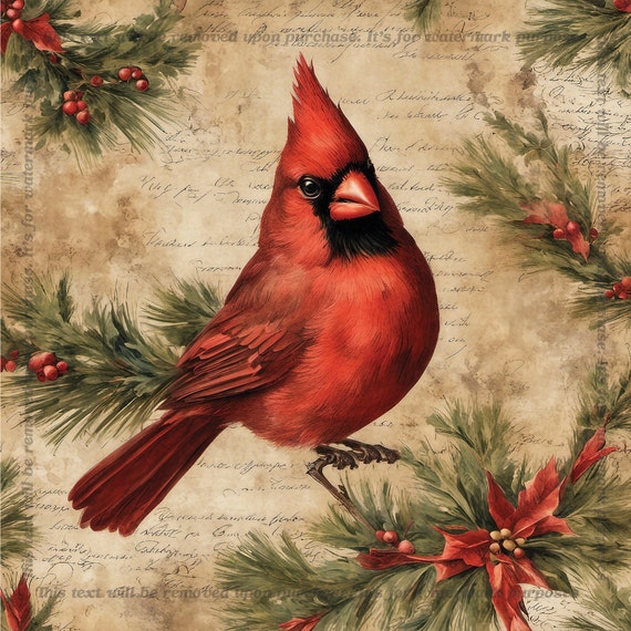 Cardinal Christmas Music Vintage Scrapbook Paper