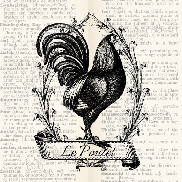 Vintage Digital Illustration Rooster Chicken Animal - Digital Vintage Clipart Graphic - Printable Transfer Craft Scrapbook INSTANT DOWNLOAD