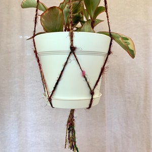 May include: A white ceramic pot with a green plant hanging from a macrame plant hanger with brown, red, and gold yarn.