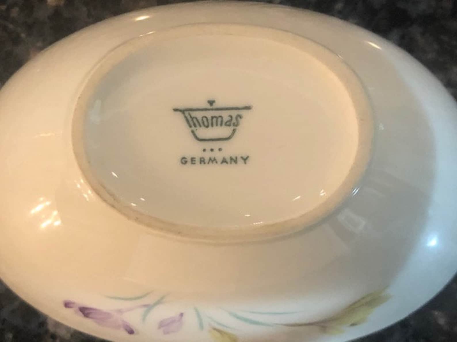 Antique Thomas Porcelain Hand Painted Bowl. Made in Germany. Etsy