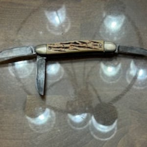 Knife : Colonial Prov. U.S.A. 3 blade faux bone handle pocket knife Vintage collectible -  nice condition