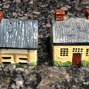 Salt and Pepper shaker set; Vintage Cottage Theme S&P shakers - very nice condition .