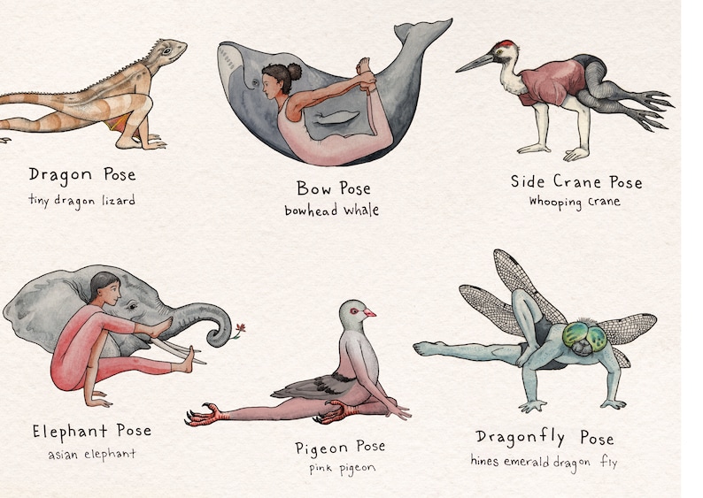 Vulnerable Species Yoga Poses Etsy